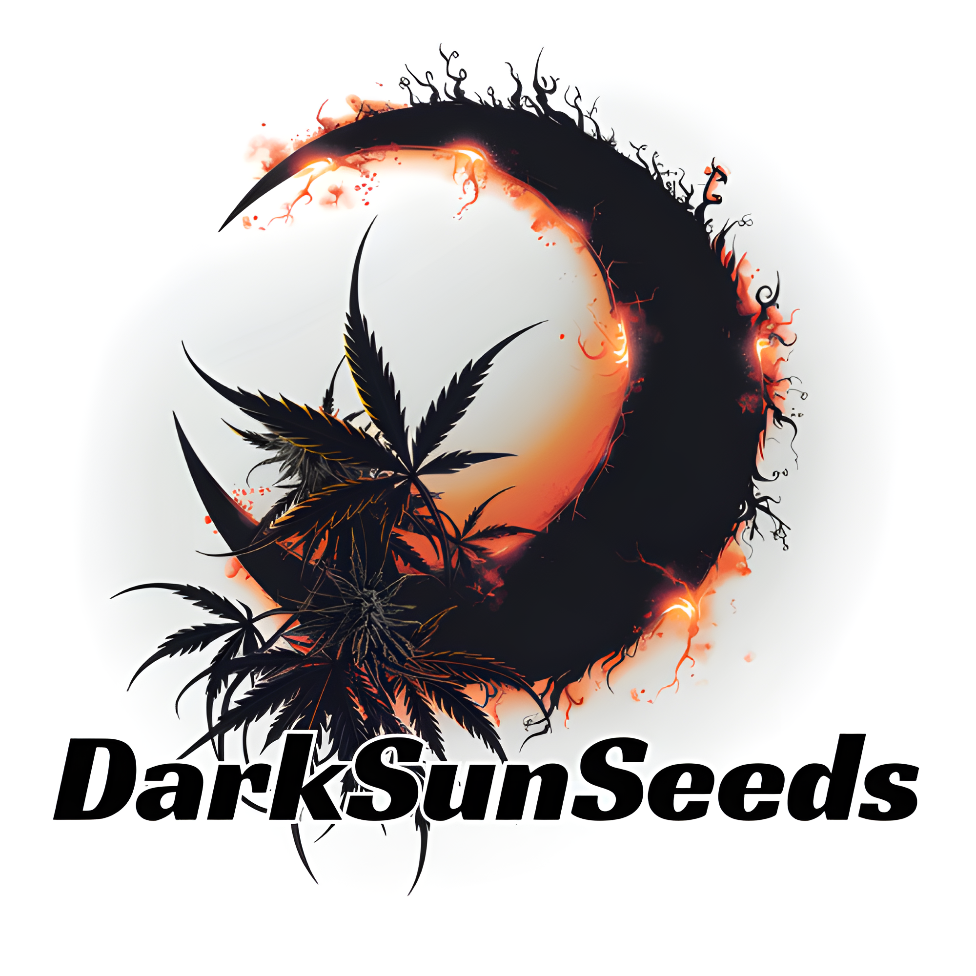 DarkSunSeeds – Premium Cannabis Seeds and Pollen